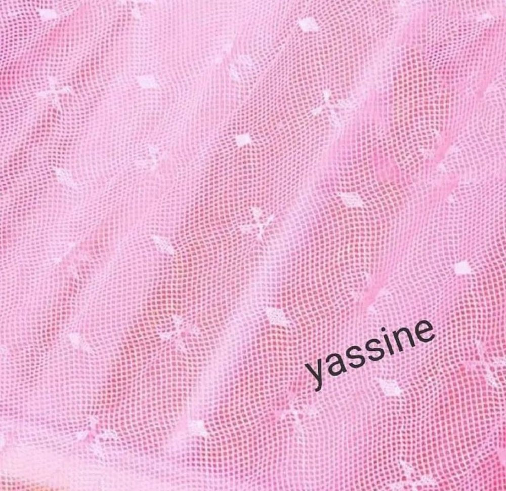 Mosquito Net